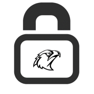 Lock with IIT Hawk logo inside