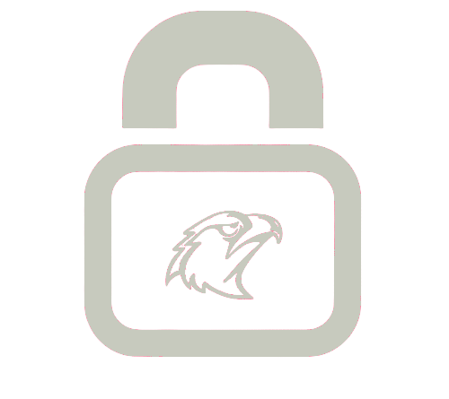 An image of the CyberHawks logo in gray